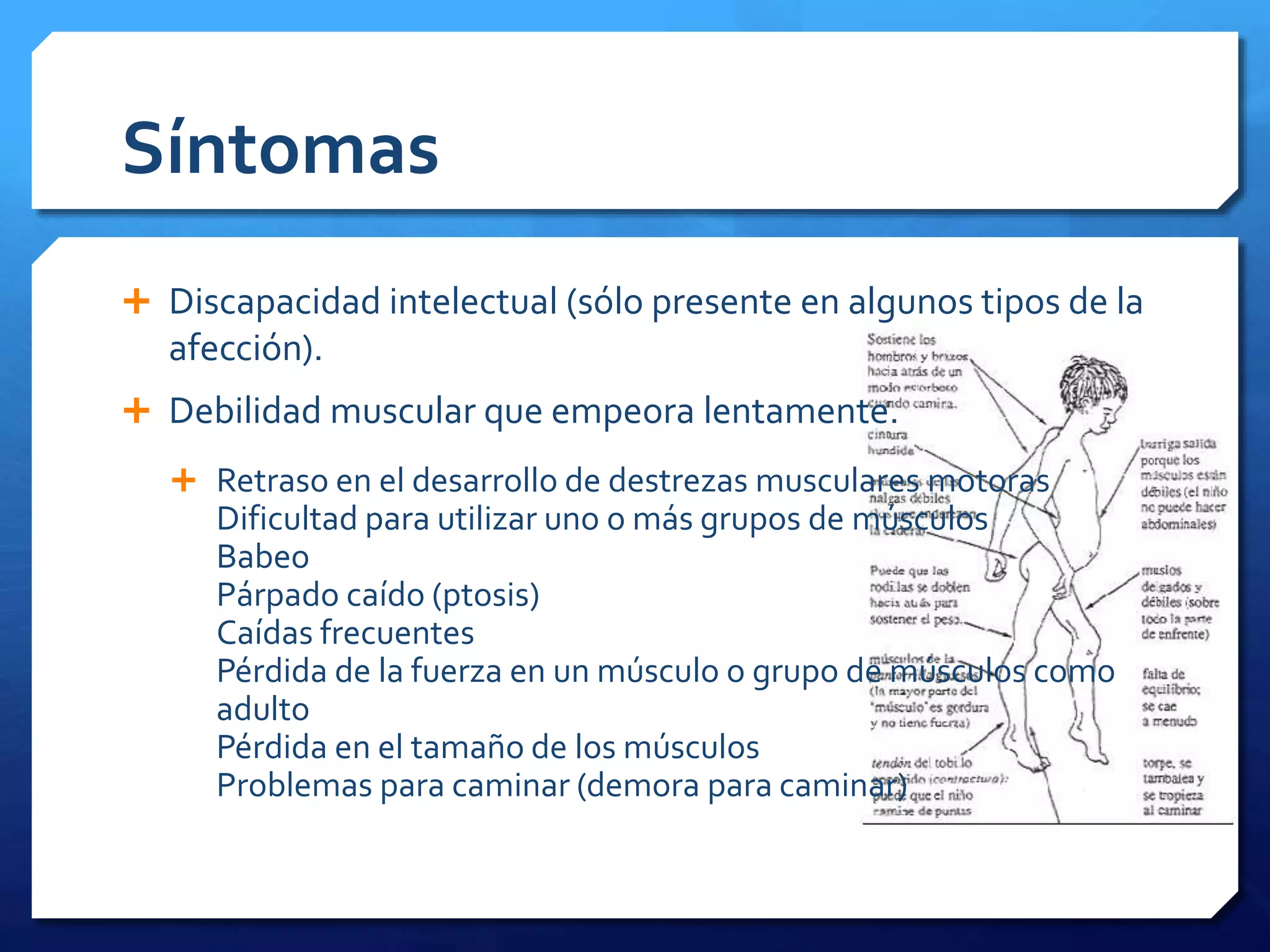Distrofia muscular | PPTX | Physical Therapy | Wellness