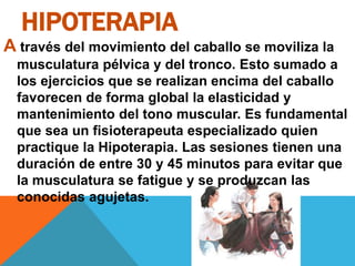 HIPOTERAPIA
A través del movimiento del caballo se moviliza la
musculatura pélvica y del tronco. Esto sumado a
los ejercicios que se realizan encima del caballo
favorecen de forma global la elasticidad y
mantenimiento del tono muscular. Es fundamental
que sea un fisioterapeuta especializado quien
practique la Hipoterapia. Las sesiones tienen una
duración de entre 30 y 45 minutos para evitar que
la musculatura se fatigue y se produzcan las
conocidas agujetas.
 
