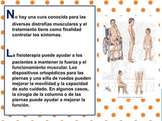 No hay una cura conocida para las
diversas distrofias musculares y el
tratamiento tiene como finalidad
controlar los síntomas.
La fisioterapia puede ayudar a los
pacientes a mantener la fuerza y el
funcionamiento muscular. Los
dispositivos ortopédicos para las
piernas y una silla de ruedas pueden
mejorar la movilidad y la capacidad
de auto cuidado. En algunos casos,
la cirugía de la columna o de las
piernas puede ayudar a mejorar la
función.
 