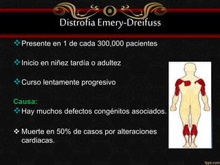 DistrofiaEmery-Dreifuss
Presente en 1 de cada 300,000 pacientes
Inicio en niñez tardía o adultez
Curso lentamente progresivo
Causa:
Hay muchos defectos congénitos asociados.
 Muerte en 50% de casos por alteraciones
cardiacas.
 