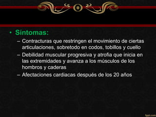 • Síntomas:
– Contracturas que restringen el movimiento de ciertas
articulaciones, sobretodo en codos, tobillos y cuello
– Debilidad muscular progresiva y atrofia que inicia en
las extremidades y avanza a los músculos de los
hombros y caderas
– Afectaciones cardiacas después de los 20 años
 