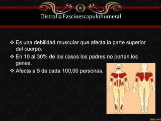 DistrofiaFascioescapulohumeral
 Es una debilidad muscular que afecta la parte superior
del cuerpo.
 En 10 al 30% de los casos los padres no portan los
genes.
 Afecta a 5 de cada 100,00 personas.
 