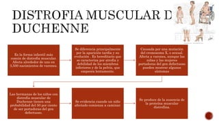 Distrofia muscular | PPTX