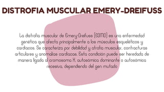 Tema importante DISTROFIA MUSCULAR en clases | PDF