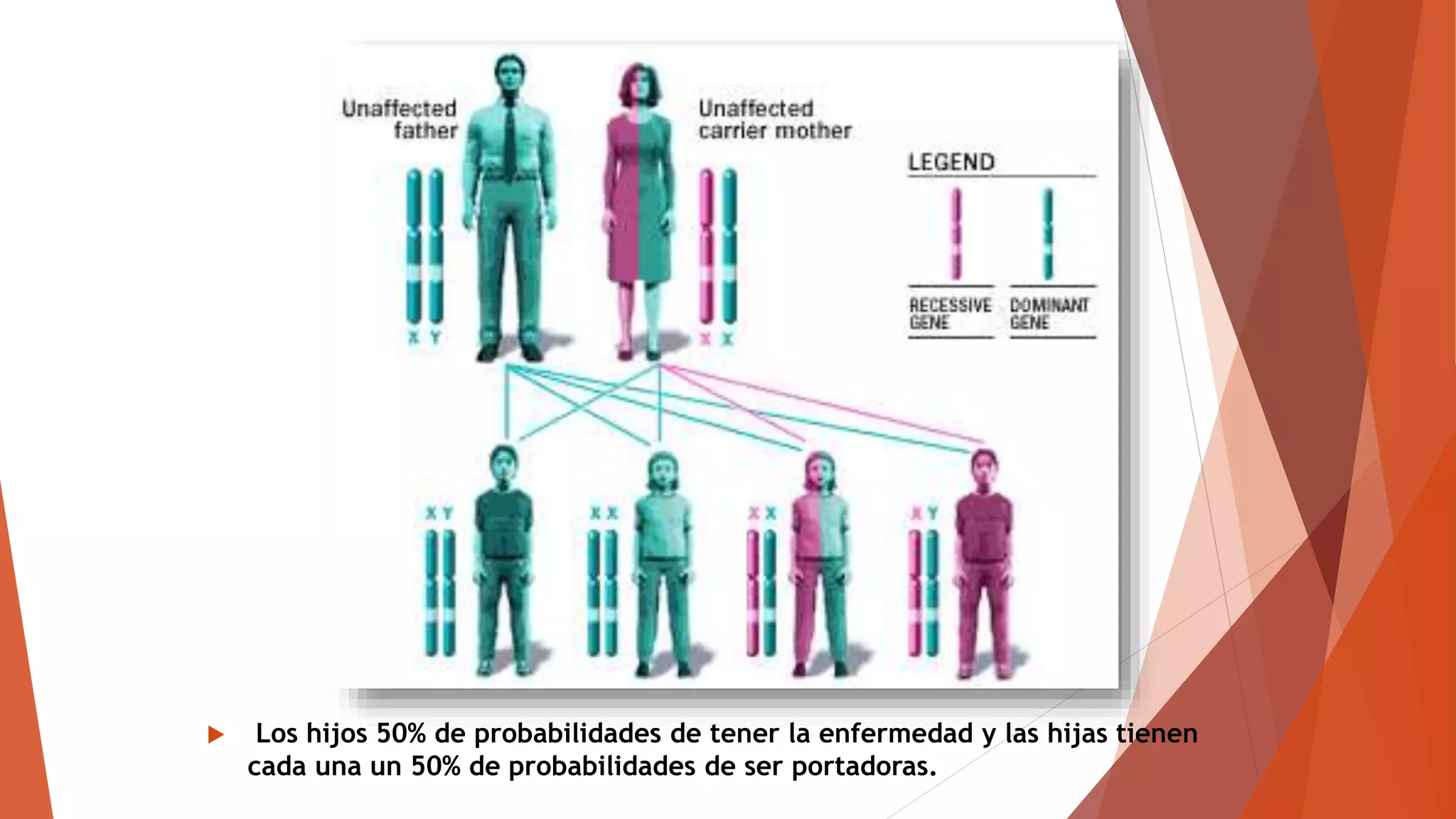 Distrofia muscular de duchenne | PPTX
