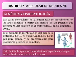 DISTROFIA MUSCULAR DE DUCHENNE EN PEDIATRIA | PPTX