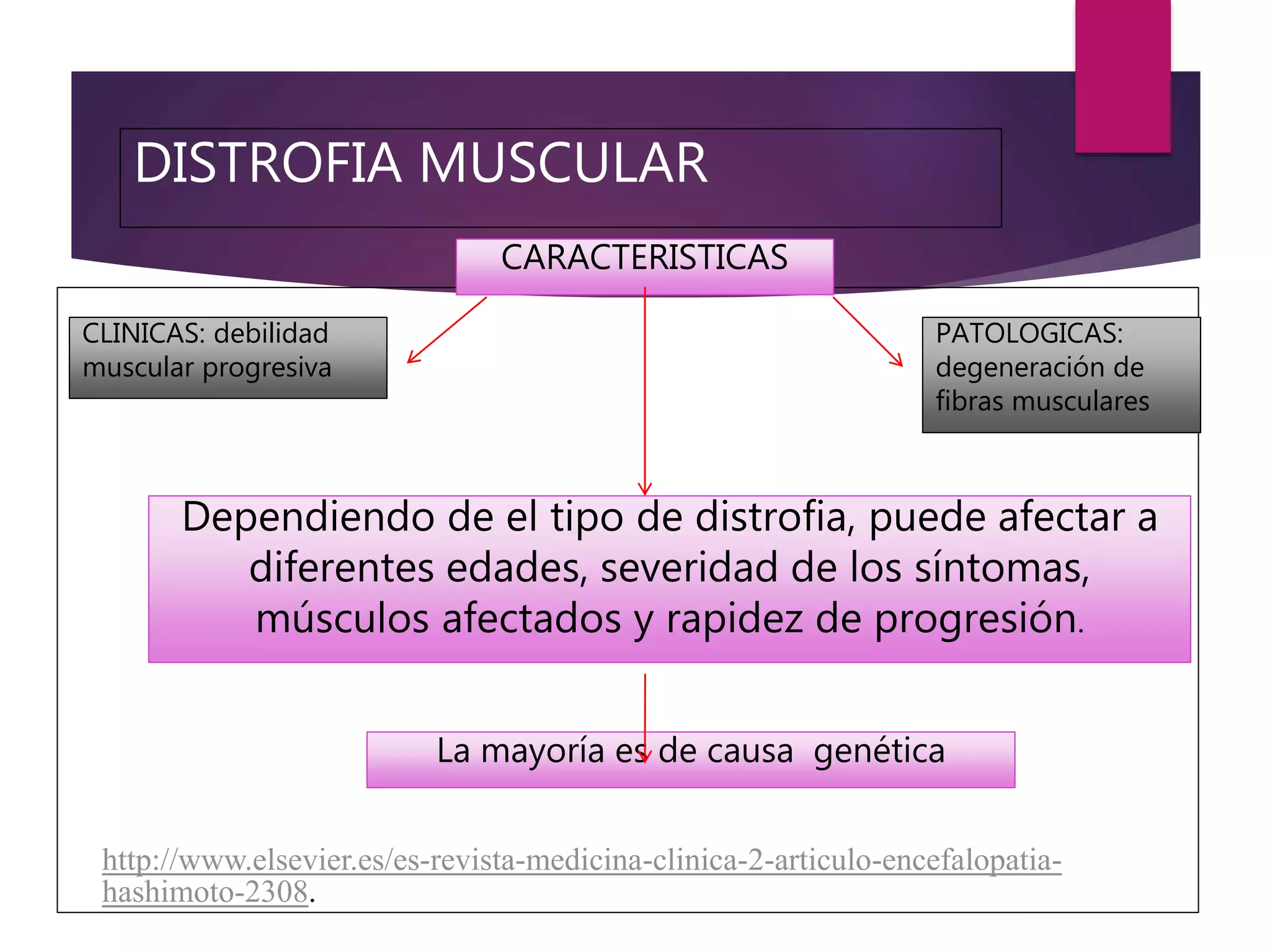 Distrofia muscular diapositivas | PPTX