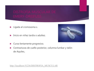 Distrofia muscular diapositivas | PPTX