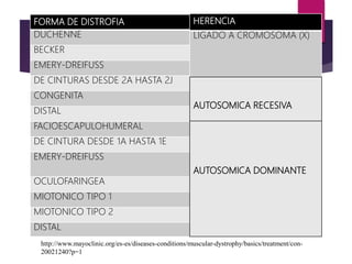 Distrofia muscular diapositivas | PPTX