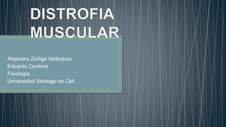 Alejandra Zúñiga Velázquez
Eduardo Cardona
Fisiología.
Universidad Santiago de Cali
 