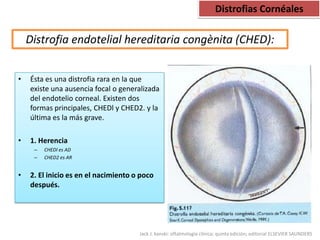 Distrofias Cornéales

    Distrofia endotelial hereditaria congènita (CHED):


•   Ésta es una distrofia rara en la que
    existe una ausencia focal o generalizada
    del endotelio corneal. Existen dos
    formas principales, CHEDl y CHED2. y la
    última es la más grave.

•   1. Herencia
     –   CHEDl es AD
     –   CHED2 es AR


•   2. El inicio es en el nacimiento o poco
    después.




                                      Jack J. kanski: oftalmología clínica; quinta edición; editorial ELSEVIER SAUNDERS
 