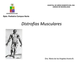 HOSPITAL DE NIÑOS ROBERTO DEL RIO
                                        UNIDAD DE NEUROLOGIA




Dpto. Pediatría Campus Norte



                   Distrofias Musculares




                               Dra. Maria de los Angeles Avaria B.
 