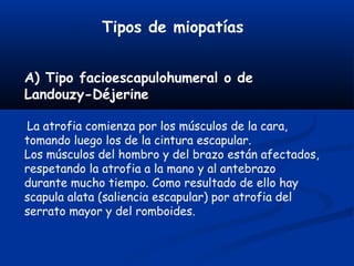 Tipos de miopatías
A) Tipo facioescapulohumeral o de
Landouzy-Déjerine
La atrofia comienza por los músculos de la cara,
tomando luego los de la cintura escapular.
Los músculos del hombro y del brazo están afectados,
respetando la atrofia a la mano y al antebrazo
durante mucho tiempo. Como resultado de ello hay
scapula alata (saliencia escapular) por atrofia del
serrato mayor y del romboides.
 