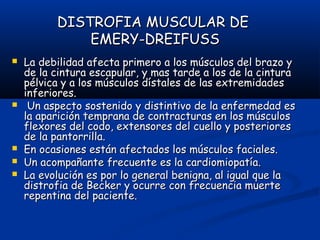 DISTROFIA MUSCULAR DEDISTROFIA MUSCULAR DE
EMERY-DREIFUSSEMERY-DREIFUSS
 La debilidad afecta primero a los músculos del brazo yLa debilidad afecta primero a los músculos del brazo y
de la cintura escapular, y mas tarde a los de la cinturade la cintura escapular, y mas tarde a los de la cintura
pélvica y a los músculos dístales de las extremidadespélvica y a los músculos dístales de las extremidades
inferiores.inferiores.
 Un aspecto sostenido y distintivo de la enfermedad esUn aspecto sostenido y distintivo de la enfermedad es
la aparición temprana de contracturas en los músculosla aparición temprana de contracturas en los músculos
flexores del codo, extensores del cuello y posterioresflexores del codo, extensores del cuello y posteriores
de la pantorrilla.de la pantorrilla.
 En ocasiones están afectados los músculos faciales.En ocasiones están afectados los músculos faciales.
 Un acompañante frecuente es la cardiomiopatía.Un acompañante frecuente es la cardiomiopatía.
 La evolución es por lo general benigna, al igual que laLa evolución es por lo general benigna, al igual que la
distrofia de Becker y ocurre con frecuencia muertedistrofia de Becker y ocurre con frecuencia muerte
repentina del paciente.repentina del paciente.
 