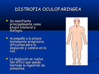 DISTROFIA OCULOFARINGEADISTROFIA OCULOFARINGEA
 Se manifiestaSe manifiesta
principalmente comoprincipalmente como
ptosis bilateral yptosis bilateral y
disfagia.disfagia.
 Acompaña a la ptosisAcompaña a la ptosis
lentamente progresivalentamente progresiva
dificultad para ladificultad para la
deglución y cambio en ladeglución y cambio en la
voz.voz.
 La deglución se vuelveLa deglución se vuelve
tan difícil que quedatan difícil que queda
limitada la ingestión delimitada la ingestión de
alimentos.alimentos.
 