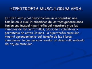 HIPERTROFIA MUSCULORUM VERA.HIPERTROFIA MUSCULORUM VERA.
En 1971 Poch y col describieron un la argentina unaEn 1971 Poch y col describieron un la argentina una
familia en la cual 14 miembros de las tres generacionesfamilia en la cual 14 miembros de las tres generaciones
tenían una inusual hipertrofia del masetero y de lostenían una inusual hipertrofia del masetero y de los
músculos de las pantorrillas, asociada a calambres ymúsculos de las pantorrillas, asociada a calambres y
parestesia de estos últimos. La hipertrofia muscularparestesia de estos últimos. La hipertrofia muscular
mostró agrandamiento del tamaño de las fibrasmostró agrandamiento del tamaño de las fibras
musculares, lo que pareció revelar un desarrollo anómalomusculares, lo que pareció revelar un desarrollo anómalo
del tejido muscular.del tejido muscular.
 