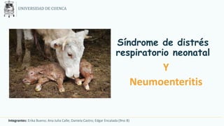 Síndrome de distrés
respiratorio neonatal
Y
Neumoenteritis
UNIVERSIDAD DE CUENCA
Integrantes: Erika Bueno; Ana Julia Calle; Daniela Castro; Edgar Encalada (9no B)
 