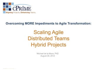 Overcoming MORE Impediments to Agile Transformation:


               Scaling Agile
             Distributed Teams
              Hybrid Projects
                  Michael de la Maza, PhD
                      August 30, 2012
 