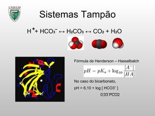 Sistemas Tampão H  + HCO 3 ‾ ↔ H 2 CO 3  ↔ CO 2  + H 2 O Fórmula de Henderson – Hasselbalch No caso do bicarbonato, pH = 6,10 + log [ HCO3‾ ]   0,03 PCO2 