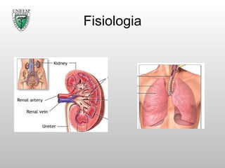 Fisiologia 