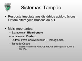 Sistemas Tampão Resposta imediata aos distúrbios ácido-básicos. Evitam alterações bruscas do pH. Mais importantes: Extracelular:  Bicarbonato Intracelular:  Fosfato Outros: Proteínas (Albumina), Hemoglobina. Tampão Ósseo Libera inicialmente NaHCO 3 , KHCO 3 , em seguida CaCO 3 , e CaHPO 4 