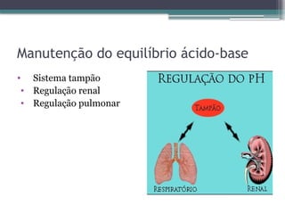 Manutenção do equilíbrio ácido-base
• Sistema tampão
• Regulação renal
• Regulação pulmonar
 