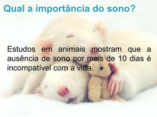 Qual a importância do sono?
Estudos em animais mostram que a
ausência de sono por mais de 10 dias é
incompatível com a vida.
 