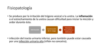Fisiopatología
• Se produce por la irritación del trígono vesical o la uretra. La inflamación
o el estrechamiento de la uretra causan dificultad para iniciar la micción y
ardor durante ésta.
• infección del tracto urinario inferior, pero también puede estar causada
por una infección urinaria alta (riñón no concetra).
IRRITACIÓN
Contracción
de la vejiga
micciones
frecuentes y
dolorosas
 