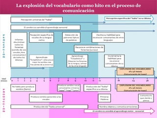 La explosión del vocabulario como hito en el proceso de
comunicación

 