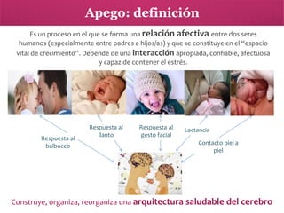 Apego: definición
Es un proceso en el que se forma una relación afectiva entre dos seres
humanos (especialmente entre padres e hijos/as) y que se constituye en el “espacio
vital de crecimiento”. Depende de una interacción apropiada, confiable, afectuosa
y capaz de contener el estrés.

Respuesta al
balbuceo

Respuesta al
llanto

Respuesta al
gesto facial

Lactancia
Contacto piel a
piel

Construye, organiza, reorganiza una arquitectura saludable del cerebro

 