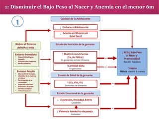 1: Disminuir el Bajo Peso al Nacer y Anemia en el menor 6m

1

Cuidado de la Adolescente
↓ Embarazo Adolescente
↓ Anemia en Mujeres en
Edad Fértil

Mejora el Entorno
del Niño y niña

Estado de Nutrición de la gestante

Entorno Inmediato

↑ Multimicronutrientes
(Fe, Ac Fólico)

•
•
•
•

Disponibilidad Agua,
Desagüe
Vivienda: piso, espacios
Medio ambiente,

En gestantes 1er/2do trimestre

↑Cantidad dieta
En gestantes

↓ RCIU, Bajo Peso
al Nacer y
Prematuridad
Recién Nacidos

e+

e+

↑ Hierro
Niño/a menor 6 meses

Entorno Amplio
•
•
•
•
•
•

Educación de la mujer,
Identidad de la madre y
el niño/a
Participación de la
comunidad.
Aspectos culturales
Relaciones de poder
(familia-sociedad)
Infraestrucutura

Estado de Salud de la gestante
↓ ETS, VIH, ITU

e+

Gestantes 1er trimestre

Estado Emocional en la gestante
↓ Depresión, Ansiedad, Estrés
Gestantes
e+

↓ Violencia doméstica de pareja
Gestantes

 