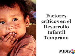 Factores
críticos en el
Desarrollo
Infantil
Temprano

 