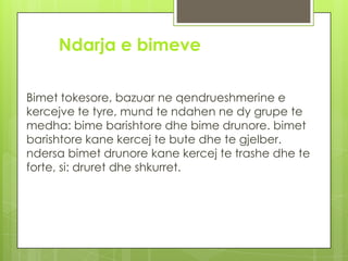 Ndarja e bimeve
Bimet tokesore, bazuar ne qendrueshmerine e
kercejve te tyre, mund te ndahen ne dy grupe te
medha: bime barishtore dhe bime drunore. bimet
barishtore kane kercej te bute dhe te gjelber.
ndersa bimet drunore kane kercej te trashe dhe te
forte, si: druret dhe shkurret.

 