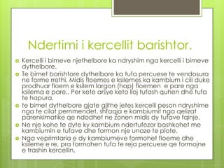 Ndertimi i kercellit barishtor.








Kercelli i bimeve njethelbore ka ndryshim nga kercelli i bimeve
dythelbore.
Te bimet barishtore dythelbore ka tufa percuese te vendosura
ne forme rrethi. Midis floemes e ksilemes ka kambium i cili duke
prodhuar floem e ksilem largon (hap) floemen e pare nga
ksilema e pare.. Per kete arsye keto lloj tufash quhen dhe tufa
te hapura.
te bimet dythelbore gjate gjithe jetes kercelli peson ndryshime
nga te cilat pernmendet, shfaqja e kambiumit nga qelizat
parenkimatike qe ndodhet ne zonen midis dy tufave fqinje.
Ne nje kohe te dyte ky kambium ndertufezor bashkohet me
kambiumin e tufave dhe formon nje unaze te plote.
Nga veprimtaria e dy kambiumeve formohet floeme dhe
ksileme e re, pra formohen tufa te reja percuese qe formojne
e trashin kercellin.

 