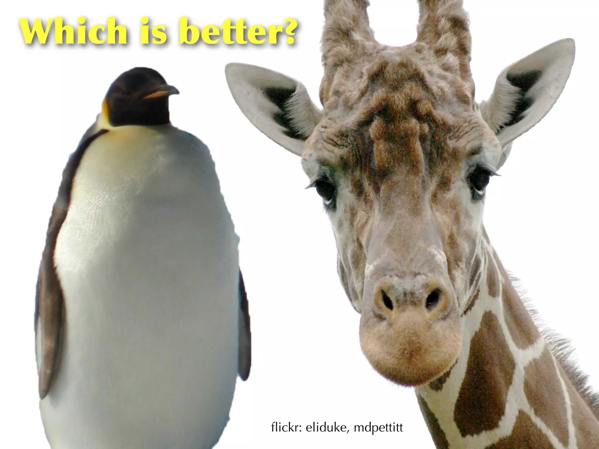 Which	
 is	
 better?




                  ﬂickr: eliduke, mdpettitt
 