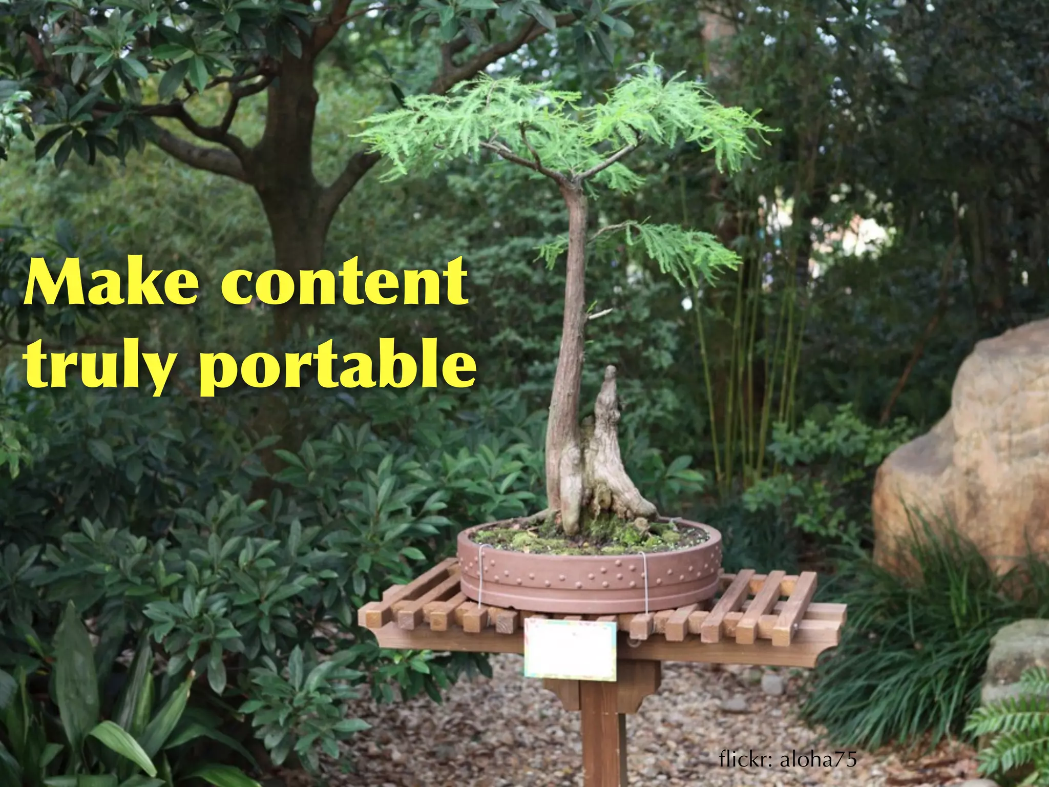 Make	
 content	
 
truly	
 portable




                    ﬂickr: aloha75
 