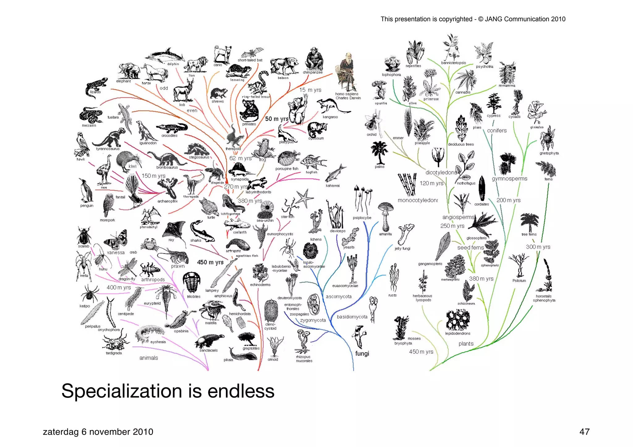 This presentation is copyrighted - © JANG Communication 2010




    Specialization is endless
zaterdag 6 november 2010                                                                       47
 