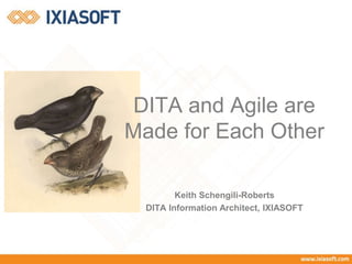 DITA and Agile are
Made for Each Other
Keith Schengili-Roberts
DITA Information Architect, IXIASOFT
 