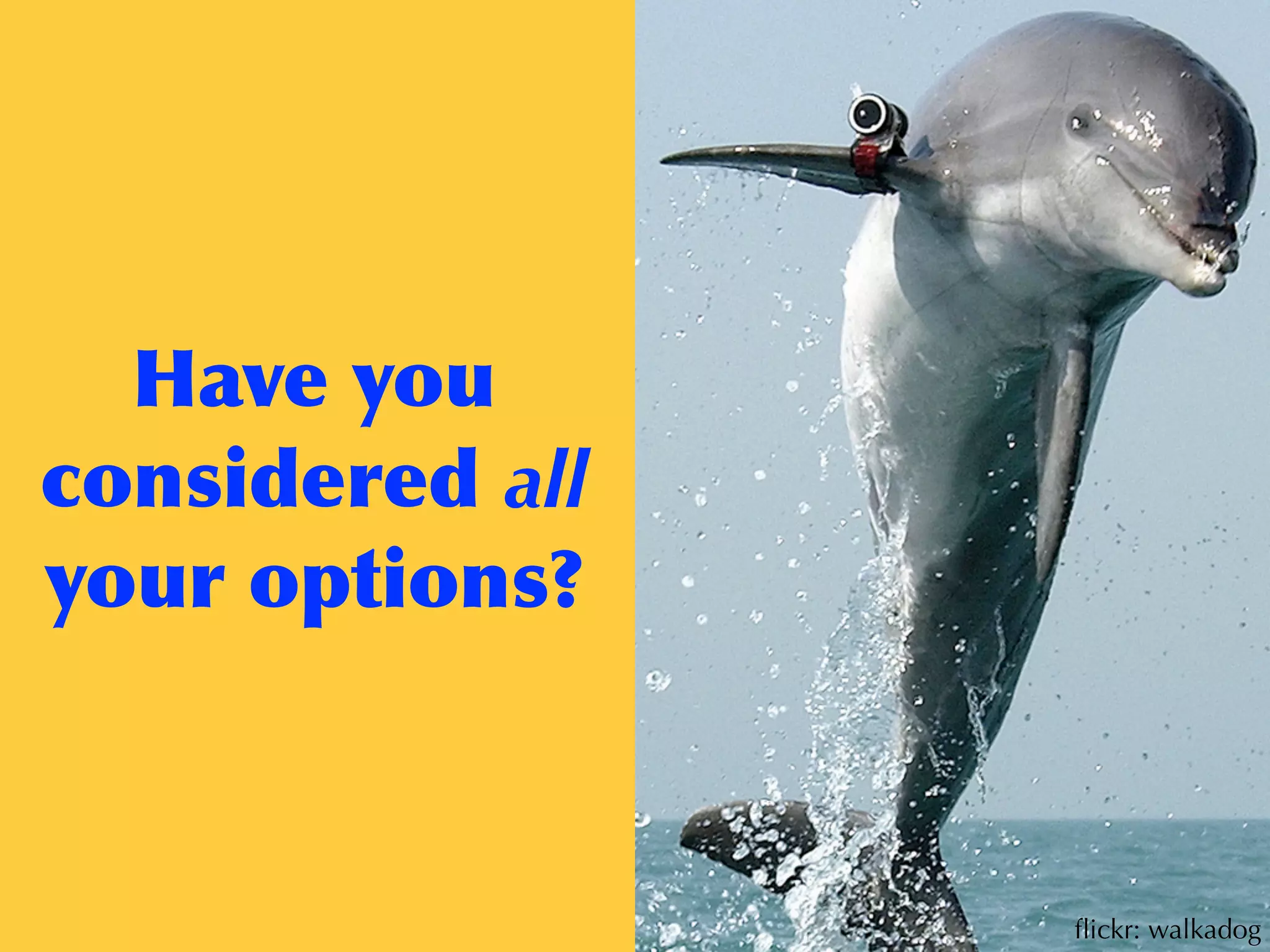 Have	
 you	
 
considered	
 all	
 
your	
 options?
ﬂickr: walkadog
 