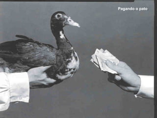 Pagando o pato.

 