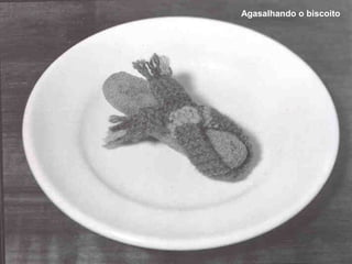 Agasalhando o biscoito

 