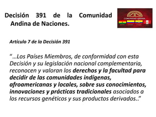 Decisión 391 de la Comunidad
Andina de Naciones.
Artículo 7 de la Decisión 391
“…Los Países Miembros, de conformidad con esta
Decisión y su legislación nacional complementaria,
reconocen y valoran los derechos y la facultad para
decidir de las comunidades indígenas,
afroamericanas y locales, sobre sus conocimientos,
innovaciones y prácticas tradicionales asociados a
los recursos genéticos y sus productos derivados..”
 