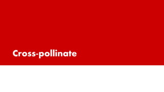 Cross-pollinate
 