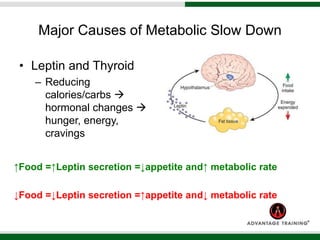 Major Causes of Metabolic Slow Down
• Leptin and Thyroid
– Reducing
calories/carbs 
hormonal changes 
hunger, energy,
cravings
↑Food =↑Leptin secretion =↓appetite and↑ metabolic rate
↓Food =↓Leptin secretion =↑appetite and↓ metabolic rate
 