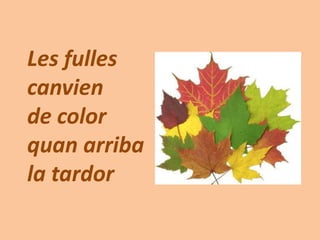 Les fulles
canvien
de color
quan arriba
la tardor
 
