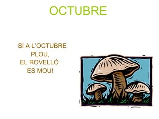 OCTUBRE   SI A L’OCTUBRE  PLOU, EL ROVELLÓ  ES MOU! 