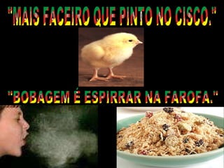 "MAIS FACEIRO QUE PINTO NO CISCO." "BOBAGEM É ESPIRRAR NA FAROFA." 