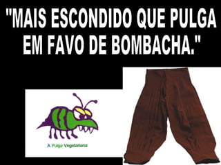 "MAIS ESCONDIDO QUE PULGA EM FAVO DE BOMBACHA." 