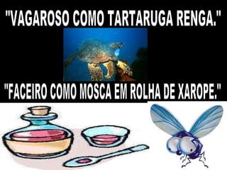 "VAGAROSO COMO TARTARUGA RENGA." "FACEIRO COMO MOSCA EM ROLHA DE XAROPE." 