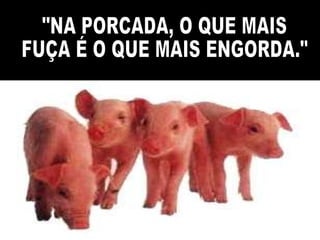 "NA PORCADA, O QUE MAIS FUÇA É O QUE MAIS ENGORDA." 